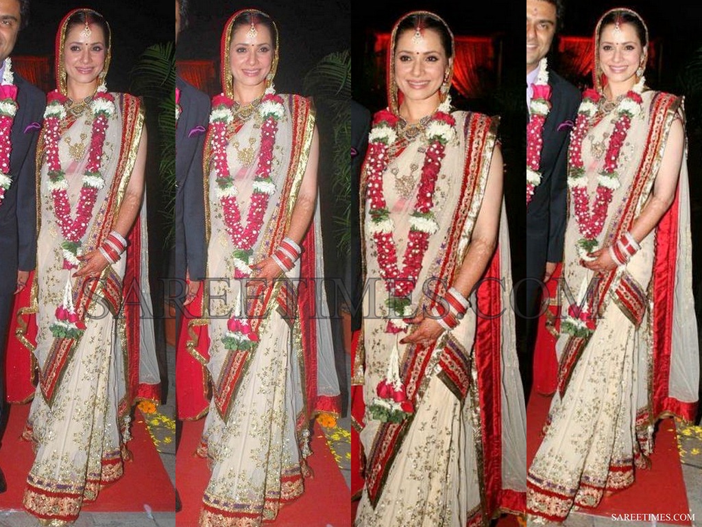 [Neelam_Wedding_Reception_Saree%255B4%255D.jpg]