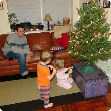 Decorating the Christmas Tree Decorating the Christmas Tree