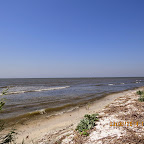 IMG_5670.JPG