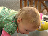 IMG_6916.JPG