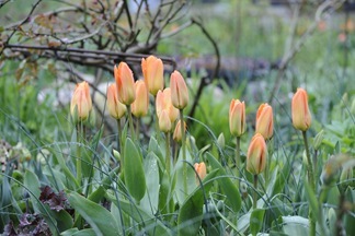 20120425_082401