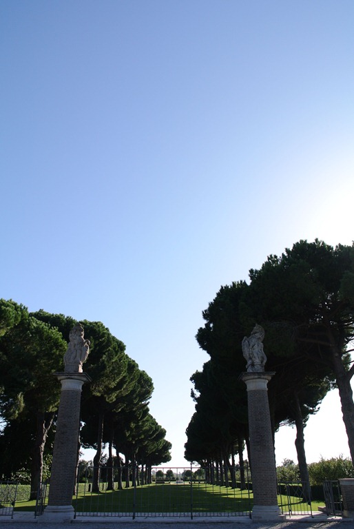 DSC_2273 DSC_2273