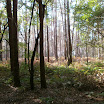 PA030012.JPG