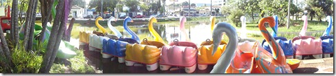 DSC01783