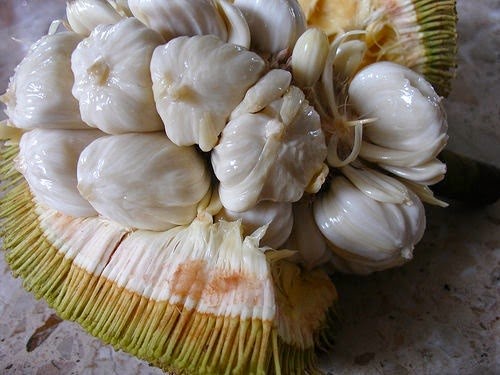 [Terap%255B3%255D.jpg]