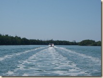 P4270023