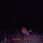 MDGC0015.JPG