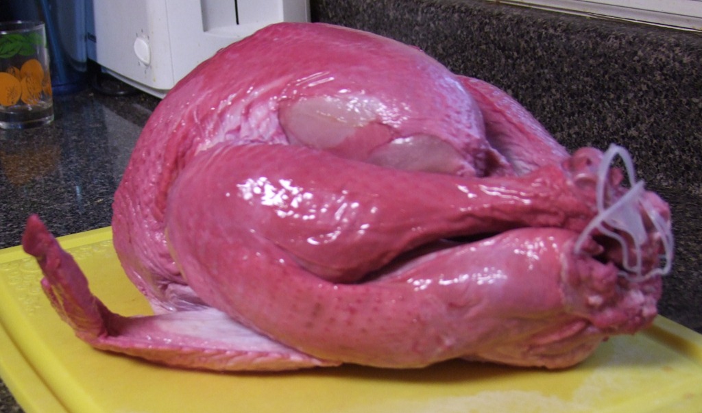 [Thanksgiving%2520turkey%25202011%2520003a%255B2%255D.jpg]