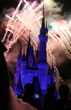 IMG_4881 IMG_4881