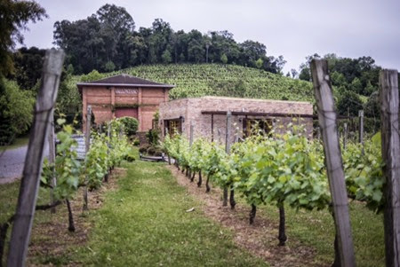 Vallin Photo e Video Produção - Vale dos Vinhedos - Vallontano-1