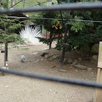 P1090699.JPG