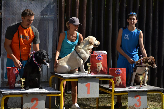 Agility_Hodonin_04.09.2011_074.jpg