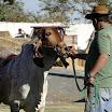 superleite2011_dia1407_83.JPG
