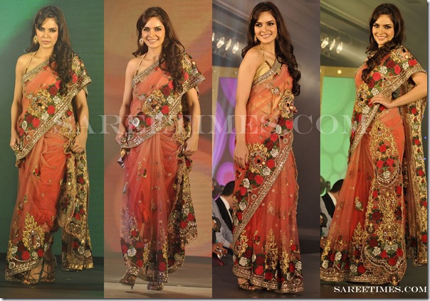Neha_Dhupia_Embroidery_Saree
