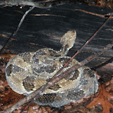 DSCF4352.JPG