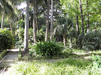 P5280745.JPG