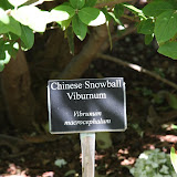 IMG_2484.JPG