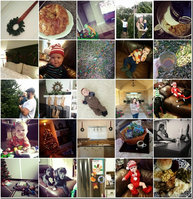 Thanksgiving 2014 Collage Thanksgiving 2014 Collage