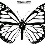 borboleta-1.gif