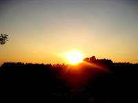 IMG_2921.JPG Photo