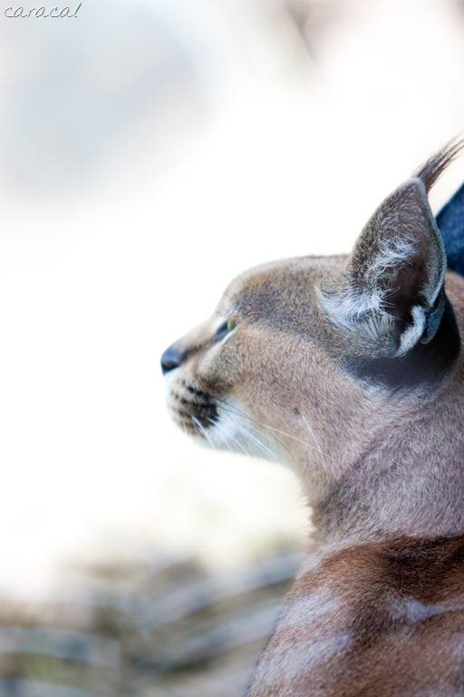 [20120716-IMG_6701%255B16%255D.jpg]