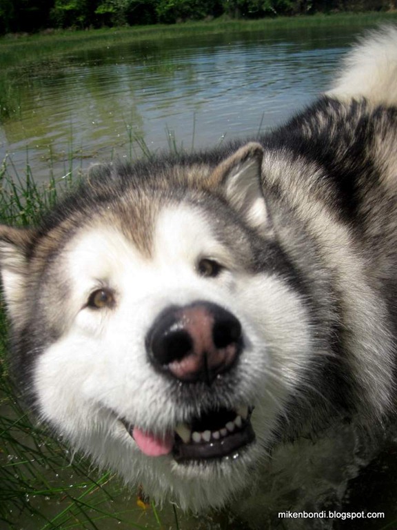 Munson, silly grin
