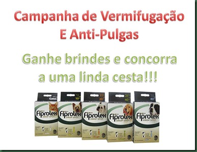 Apresentação1