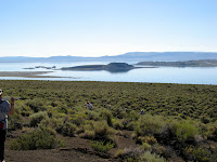 IMG_8767.JPG Photo