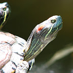 IMG_2583.JPG