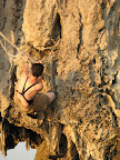 Trying to get on the climb