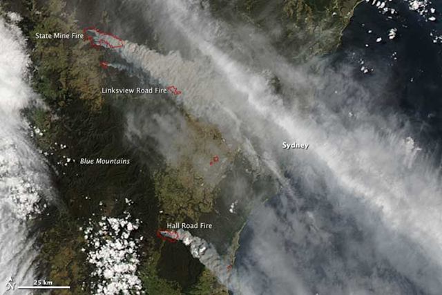 NASA's Aqua satellite acquired this image on 17 October 2013. Fires are outlined in red; to the east, smoke pollution was a problem in populated coastal communities. The densest plume hangs directly over Sydney, though the brighter white streak is probably a cloud. Photo: Jeff Schmaltz, LANCE/EOSDIS MODIS Rapid Response Team at NASA GSFC