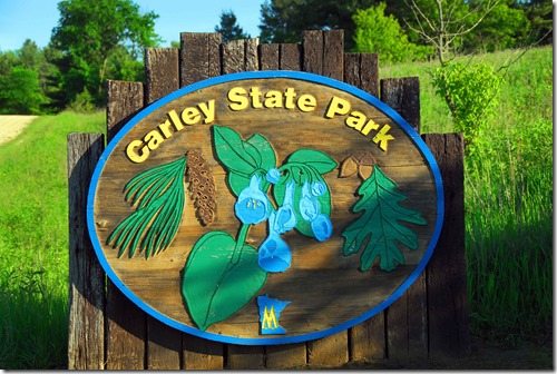 Carley Sign