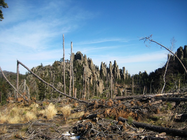 [IMG_7180%255B3%255D.jpg]