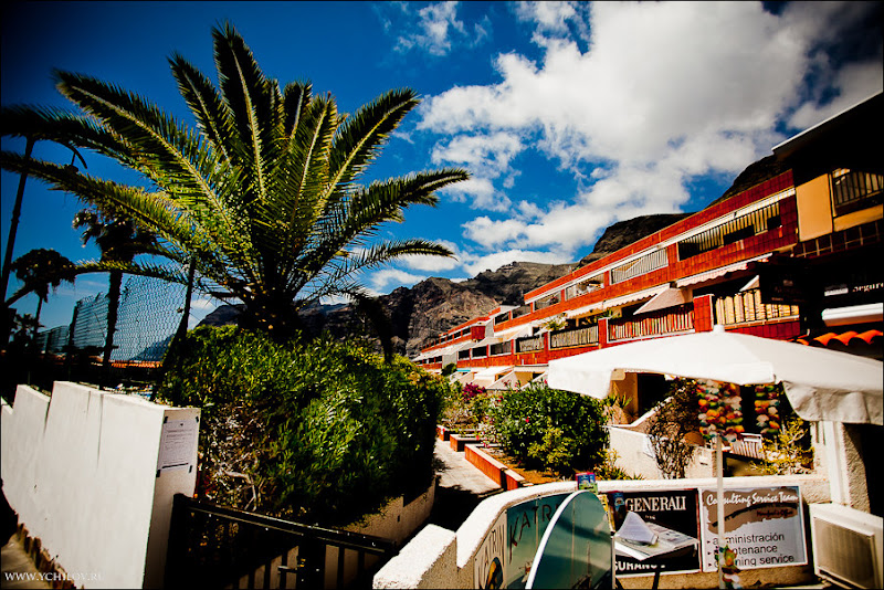 031 www.ychilov.ru foto tenerife.jpg