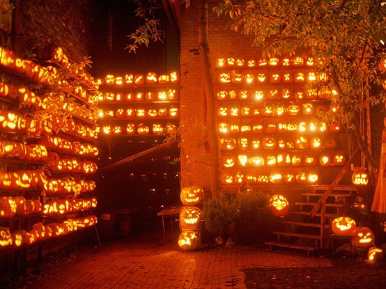 [pumpkins%255B3%255D.jpg]