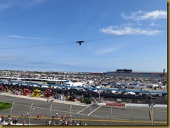 IMG_0423 IMG_0423
