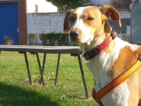Tita y Duna4