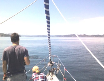 Dolphin watching on Freewind, Bay of Islands