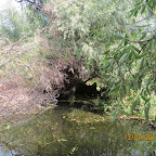 IMG_3434.JPG