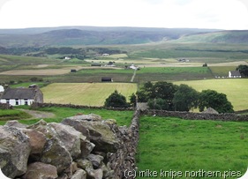 teesdale summer