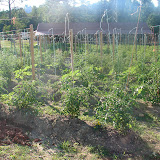 Garden and Farming