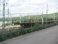 IMG_5282 IMG_5282