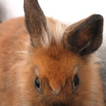 Евдокимова Галина_.JPG