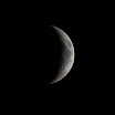 Luna_1.jpg