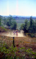 File008.jpg