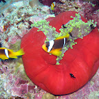 IMG_1070.JPG
