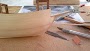 mayflower_023.jpg