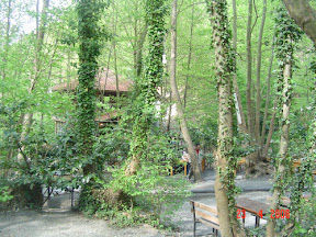 maşukiye