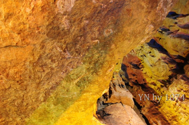 [DSC_5355%255B6%255D.jpg]