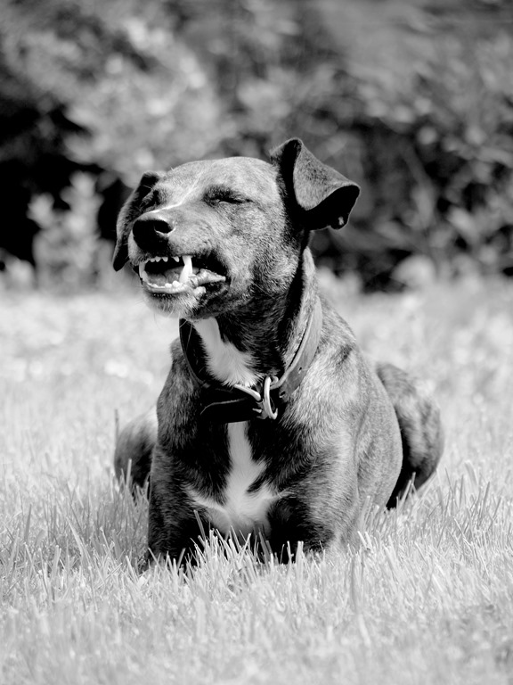 [23%2520May%252012%255B3%255D.jpg]